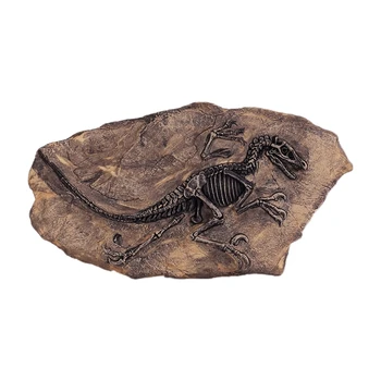 1Pcs Tyrannosaurus Rex Dinosaur Fossil Jurassic Cretaceous Gift 130M Years Old
1Pcs Tyrannosaurus Rex Dinosaur Fossil Jurassic Cretaceous Gift 130M Years Old
