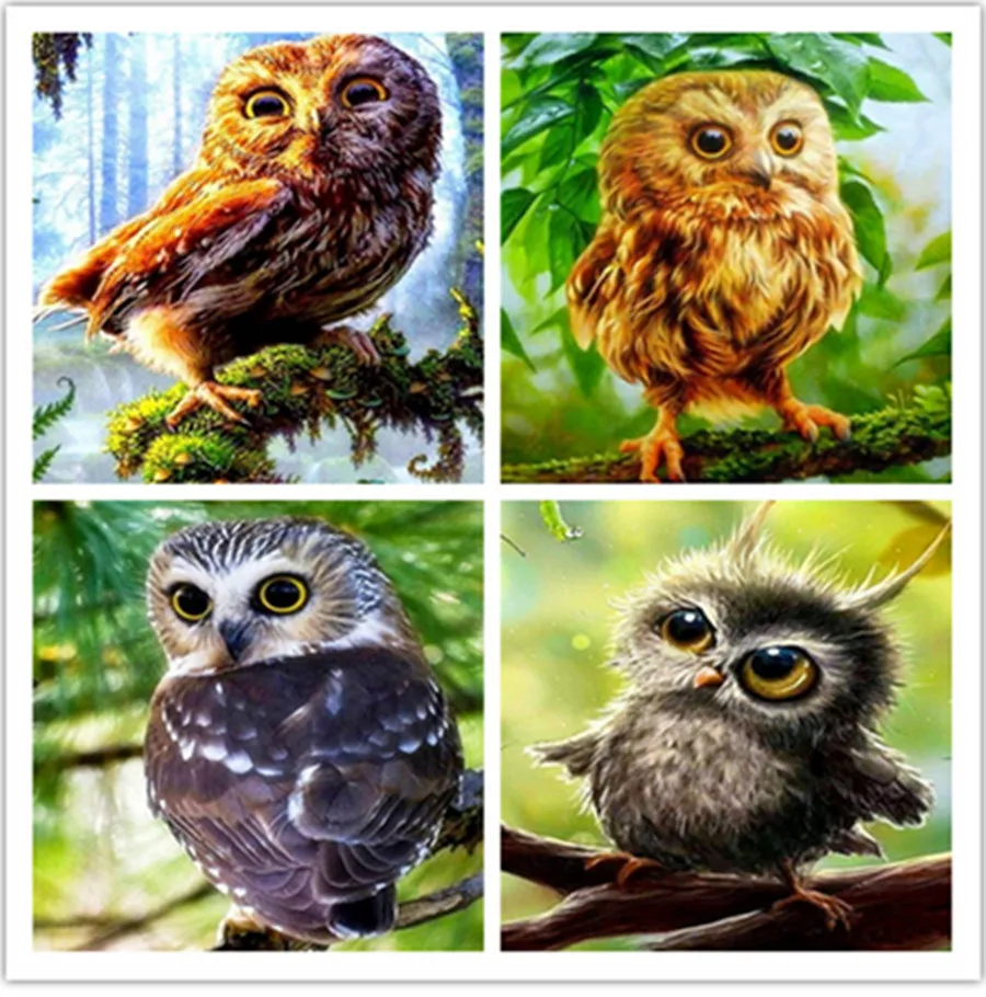 DIY Full Diamond Embroidery Complete Kit Animal Square/Round Diamond Painting Owl New Arrivals Picture Home Decoration
DIY Full Diamond Embroidery Complete Kit Animal Square/Round Diamond Painting Owl New Arrivals Picture Home Decoration