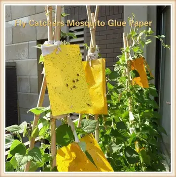 In Summer Home Buzz Fruit Fly Catchers Mosquito Glue Paper Trap Strong Powerful Flies Moths Bed Bugs Sticky Board Insect Traps
In Summer Home Buzz Fruit Fly Catchers Mosquito Glue Paper Trap Strong Powerful Flies Moths Bed Bugs Sticky Board Insect Traps