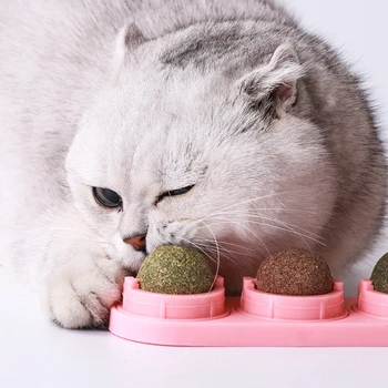 3Balls Catnip Ball Self-Adhesive Rotated Catnip Silver Vine Lick Ball For Cats Wall Mount Molar Teething Toy Pet Cat Accessories
3Balls Catnip Ball Self-Adhesive Rotated Catnip Silver Vine Lick Ball For Cats Wall Mount Molar Teething Toy Pet Cat Accessories