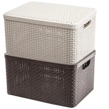 Plastic Rattan Braided Receptacle Basket 
Plastic Rattan Braided Receptacle Basket