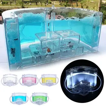 Ant Nest Pet Toy Colorful Feeding Area Habitat Transparent Specially Ants House Ant Farm 10.8CM Luminous Villa Insect Funny Art
Ant Nest Pet Toy Colorful Feeding Area Habitat Transparent Specially Ants House Ant Farm 10.8CM Luminous Villa Insect Funny Art