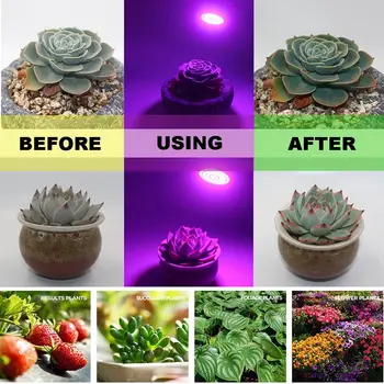 3W Led Grow Light Bulb Full Spectrum Plant Light E27 E14 GU10 MR16 UV IR Led Growing Lamp For Hydroponics Flowers Vegetables
3W Led Grow Light Bulb Full Spectrum Plant Light E27 E14 GU10 MR16 UV IR Led Growing Lamp For Hydroponics Flowers Vegetables