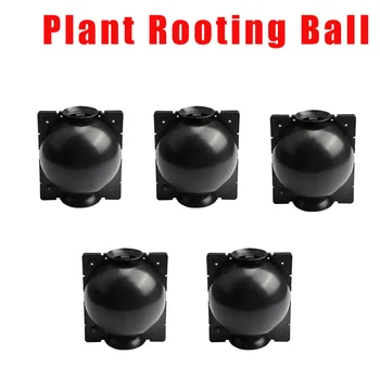 Plant Seed Rooting Ball Root System Package Grafting Root Growth Breeding Box Plant Root System Hydroponics Garden Supplies
Plant Seed Rooting Ball Root System Package Grafting Root Growth Breeding Box Plant Root System Hydroponics Garden Supplies