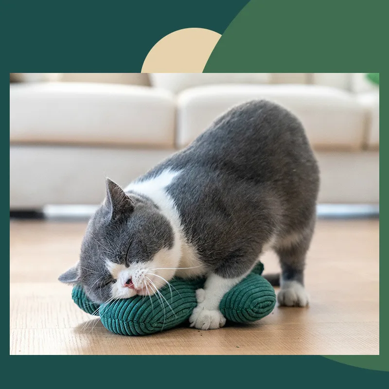 Pet Toy Cactus Funny Cat Self-hey Toy Contains Catnip Cat Cat Relieves Boredom and Bite Resistance Cat Toy Cat Supplies
Pet Toy Cactus Funny Cat Self-hey Toy Contains Catnip Cat Cat Relieves Boredom and Bite Resistance Cat Toy Cat Supplies