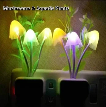 220V 3 LED mushroom light led night light novel night light EU and US plug induction dream mushroom light
220V 3 LED mushroom light led night light novel night light EU and US plug induction dream mushroom light
