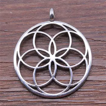 20 Pieces Silver Color Hollow Flower Of Life 30x35mm Pendant Charms Wholesale Bulk Sale Diy Jewelry Making Supplies
20 Pieces Silver Color Hollow Flower Of Life 30x35mm Pendant Charms Wholesale Bulk Sale Diy Jewelry Making Supplies