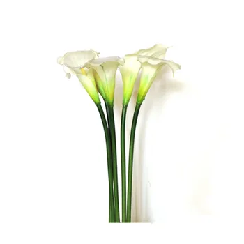 55cm 8PCS Artificial Calla Lily PVC Flower Bouquet Party Table Accessories Wedding Home Decor White AT222
55cm 8PCS Artificial Calla Lily PVC Flower Bouquet Party Table Accessories Wedding Home Decor White AT222