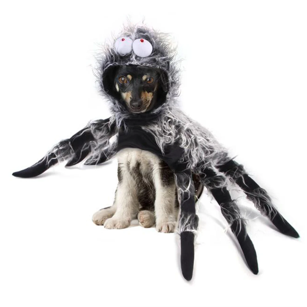 Halloween Pet Spider Clothes Kitten Dog Cosplay Costume Puppy Dressing Up Spider Funny Party Role Play Outfit Photo Pet Supplies
Halloween Pet Spider Clothes Kitten Dog Cosplay Costume Puppy Dressing Up Spider Funny Party Role Play Outfit Photo Pet Supplies