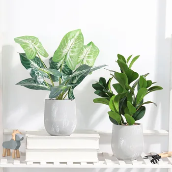 Artificial Plants with Pot Small Plants Bonsai Plastic Plants Potted Fake Palm Tree Leafs Ornaments For Home Party Decoration
Artificial Plants with Pot Small Plants Bonsai Plastic Plants Potted Fake Palm Tree Leafs Ornaments For Home Party Decoration