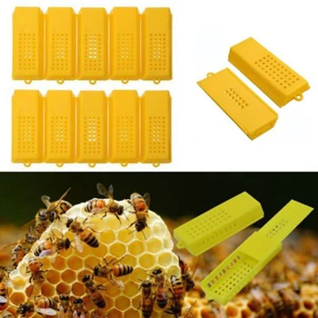 

10pcs Extended Queen Bee Butler Cage Catcher Trap Case Plastic Beekeeping Tool Lightweight And Portable