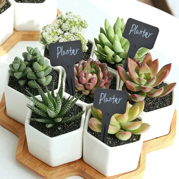 101Pcs/Set Black Plant Labels Water T-Types Plant Tag Reusable Nursery Garden Labels Plant Markers for Flower Vegetables
101Pcs/Set Black Plant Labels Water T-Types Plant Tag Reusable Nursery Garden Labels Plant Markers for Flower Vegetables