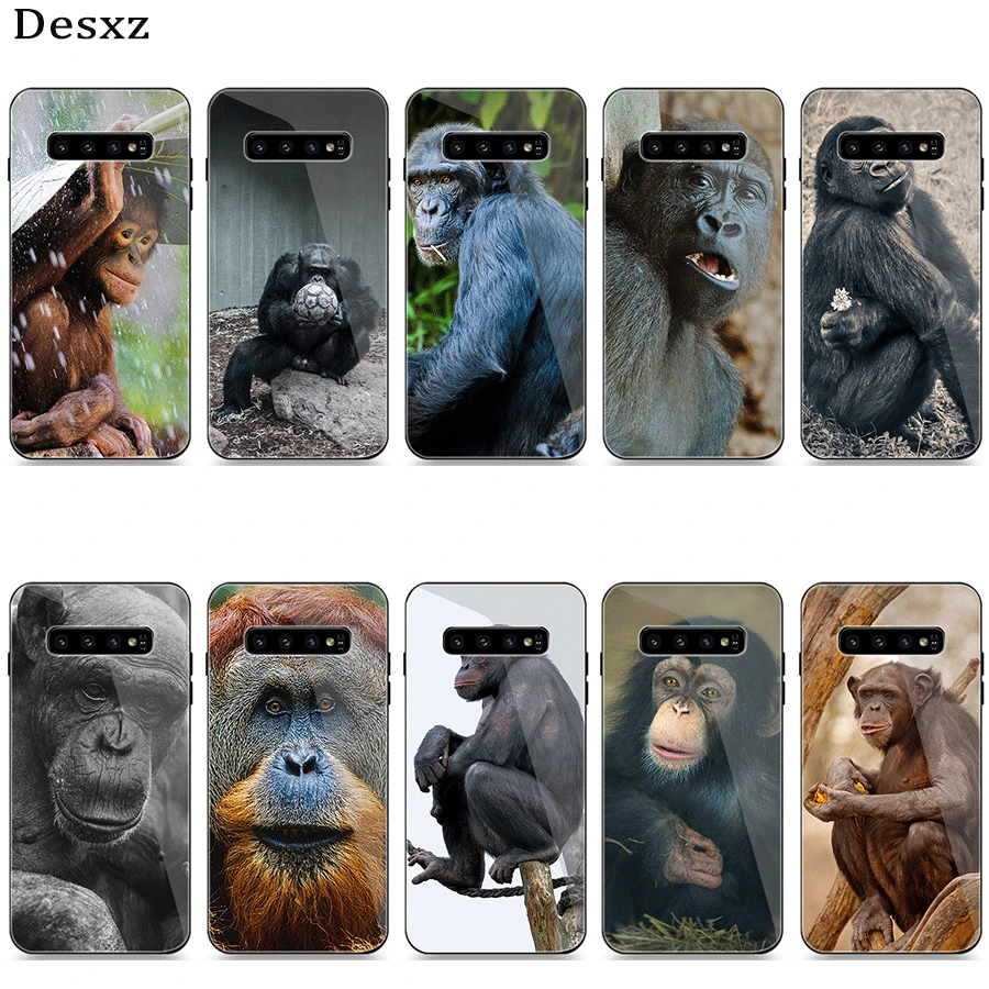 Glass Phone Case For Samsung S7 Edge S8 S9 S10 Plus A10 A20 A30 A40 A50 A60 A70 Cover Monkey Gorilla
Glass Phone Case For Samsung S7 Edge S8 S9 S10 Plus A10 A20 A30 A40 A50 A60 A70 Cover Monkey Gorilla