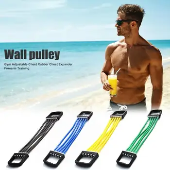Durable Resistance Bands Delicate Texture 5 Resistance Bands Adjustable Chest Expander for Arm Strength Muscle Training 
Durable Resistance Bands Delicate Texture 5 Resistance Bands Adjustable Chest Expander for Arm Strength Muscle Training