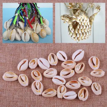 50Pcs Small Bulk Natural Beach Sea Cowry Cowrie Shell for DIY Jewelry Aquarium
50Pcs Small Bulk Natural Beach Sea Cowry Cowrie Shell for DIY Jewelry Aquarium