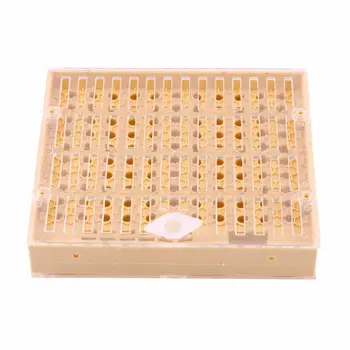 Beekeeping Cup Bee Keeper Tools Queen Rearing Bee Cupkit Box System Beekeeping Tools Apiculture Supplier Queen Rearing Cup
Beekeeping Cup Bee Keeper Tools Queen Rearing Bee Cupkit Box System Beekeeping Tools Apiculture Supplier Queen Rearing Cup