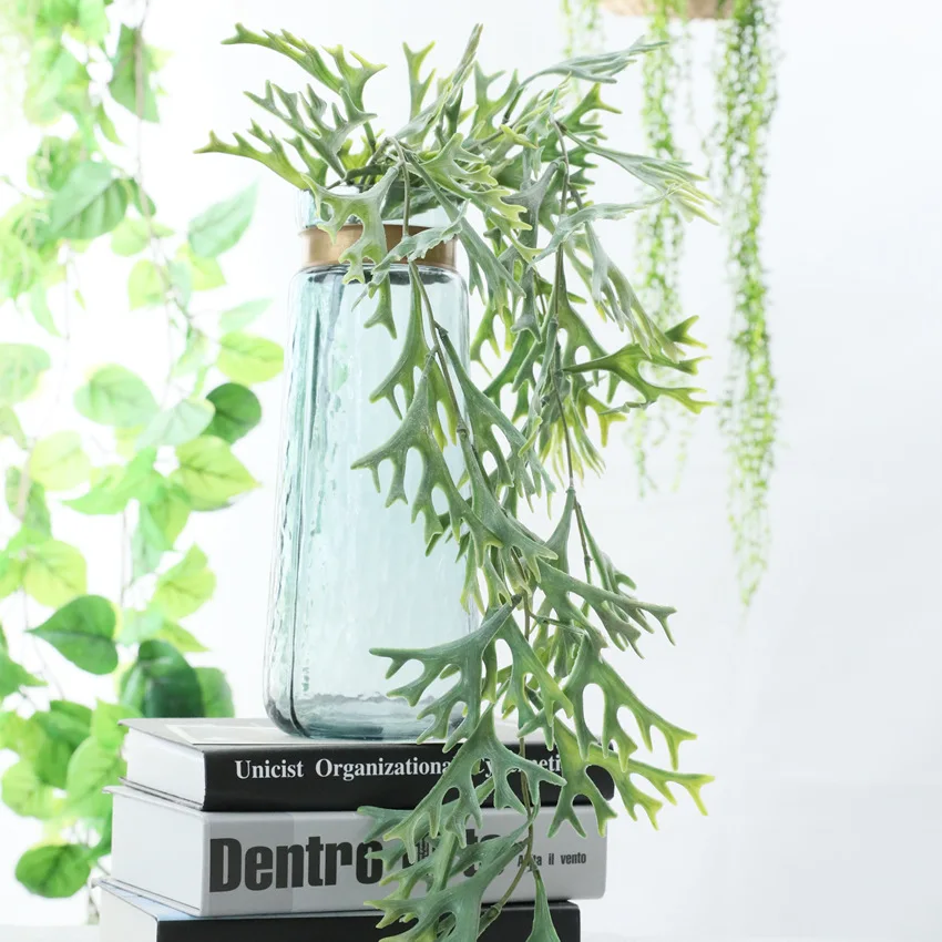 Artificial Plastic Tufting Antlers Leaf Rattan Foliage Greenery Green Plant Vine for Wedding Christmas Party Home Decor
Artificial Plastic Tufting Antlers Leaf Rattan Foliage Greenery Green Plant Vine for Wedding Christmas Party Home Decor