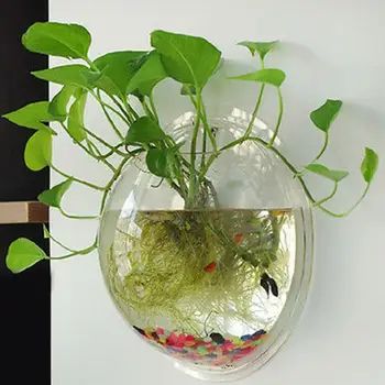 Acrylic Wall Mount Aquarium Hanging Fish Tank Aquarium Flower Round Pot Hanging Home Decor Wall Mount
Acrylic Wall Mount Aquarium Hanging Fish Tank Aquarium Flower Round Pot Hanging Home Decor Wall Mount