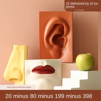 Facial Features Ear Nose Eye Mouth Flower Insert Resin Vases Office Desktop Plant Flowers Pot Vase Interesting Home Decoration
Facial Features Ear Nose Eye Mouth Flower Insert Resin Vases Office Desktop Plant Flowers Pot Vase Interesting Home Decoration
