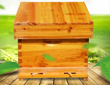 Bee Bee Hi Box Ten Box Bee Hives Full Beekeeping Tools Flat Box Bee Bucket Novice Available Matching Nest Base
Bee Bee Hi Box Ten Box Bee Hives Full Beekeeping Tools Flat Box Bee Bucket Novice Available Matching Nest Base