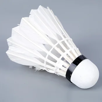 12pcs/set Loss Weight Interactive Game Exercise Durable Outdoor Sports Backyard Badminton Ball Workout Goose Feather Gym Lawn
12pcs/set Loss Weight Interactive Game Exercise Durable Outdoor Sports Backyard Badminton Ball Workout Goose Feather Gym Lawn