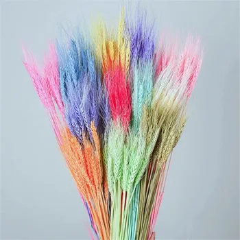 100PCS/Bundle Wheat ear Natural Dried Preserved Dancing Flowers,Real Forever Flower Grass Branch For Home Decor Wedding
100PCS/Bundle Wheat ear Natural Dried Preserved Dancing Flowers,Real Forever Flower Grass Branch For Home Decor Wedding
