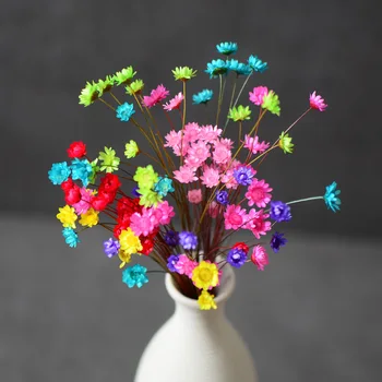 30pcs/lot,Natural Eternal Rose mini star flowers,Delicate Dried display Flower for Wedding Party Home Decoration accessories 
30pcs/lot,Natural Eternal Rose mini star flowers,Delicate Dried display Flower for Wedding Party Home Decoration accessories