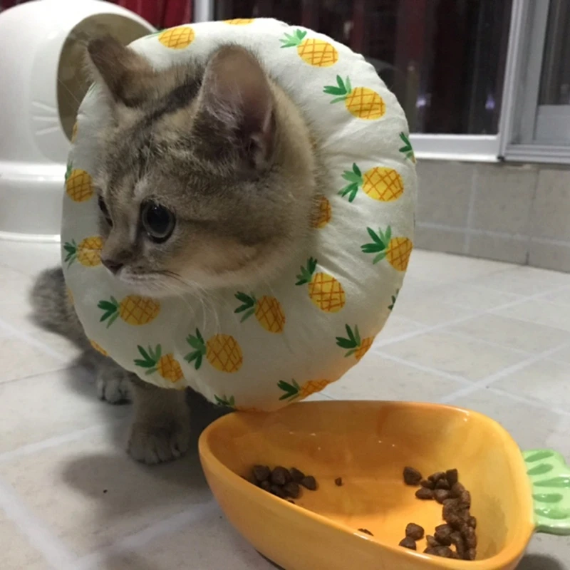 Cotton Pet Elizabeth Collar Protective Recovery Collar for Preventing Licking Wound, Small Pillow Collar for Cats Dogs
Cotton Pet Elizabeth Collar Protective Recovery Collar for Preventing Licking Wound, Small Pillow Collar for Cats Dogs