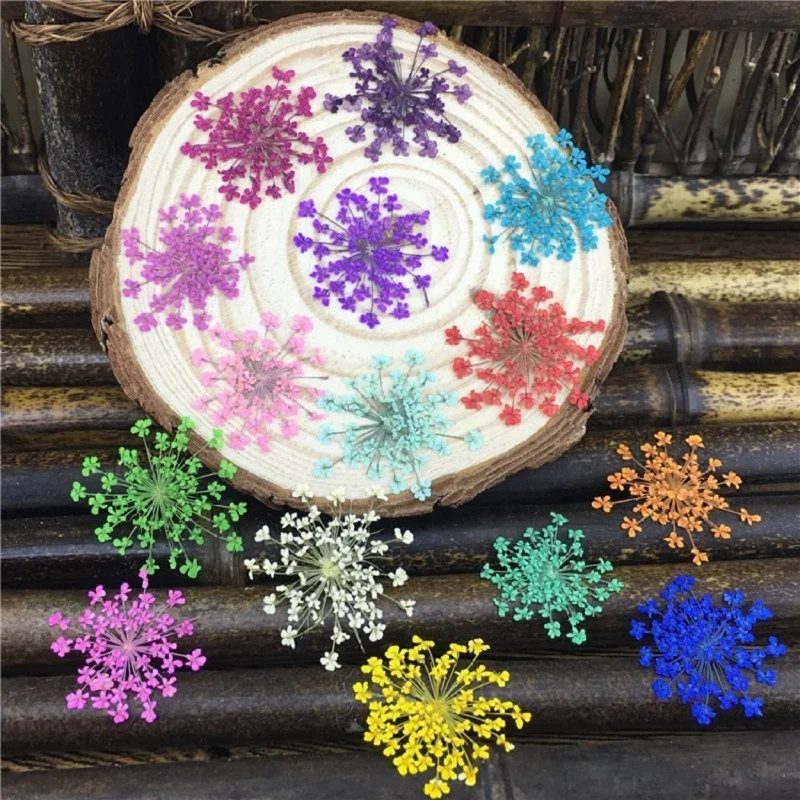 60pcs Pressed Dried Orlaya Gran Ammi Maju Flower Dry Plants For Nail Art Epoxy Resin Makeup Face Pendant Necklace Jewelry Making
60pcs Pressed Dried Orlaya Gran Ammi Maju Flower Dry Plants For Nail Art Epoxy Resin Makeup Face Pendant Necklace Jewelry Making