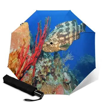 Grouper creative men's and women's automatic three fold umbrella rainy day colorful fashion umbrella
Grouper creative men's and women's automatic three fold umbrella rainy day colorful fashion umbrella