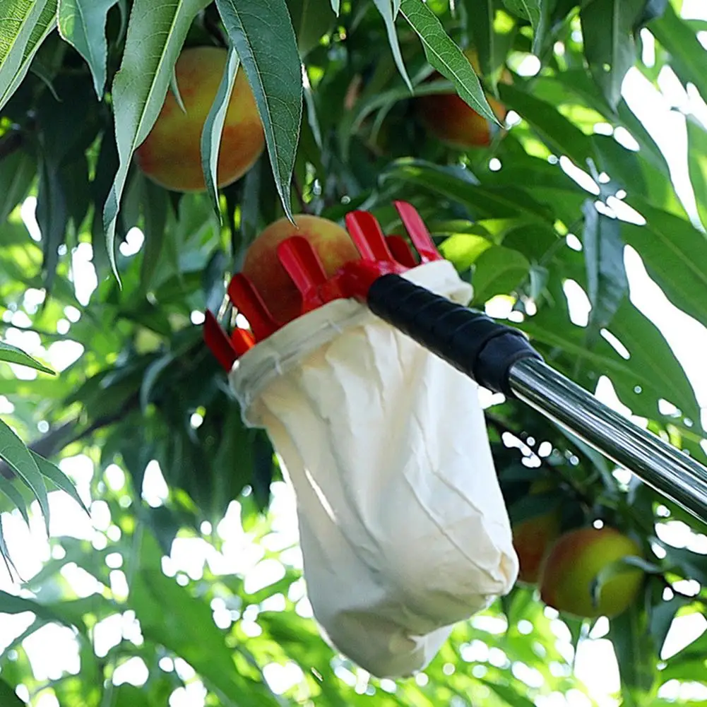 Zinc Agricultural Gardening Orchard Fruit Picker Outdoor Pear Peach Picking Catcher Durbale Garden Tool Easy To Use Fruit Picker
Zinc Agricultural Gardening Orchard Fruit Picker Outdoor Pear Peach Picking Catcher Durbale Garden Tool Easy To Use Fruit Picker