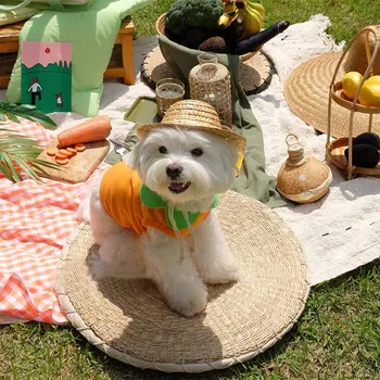 Teddy Bichon Cute Vest Pet Dog Cat Clothes Korean-style Spring and Summer Autumn Season Thin Small Dog Puppy 
Teddy Bichon Cute Vest Pet Dog Cat Clothes Korean-style Spring and Summer Autumn Season Thin Small Dog Puppy