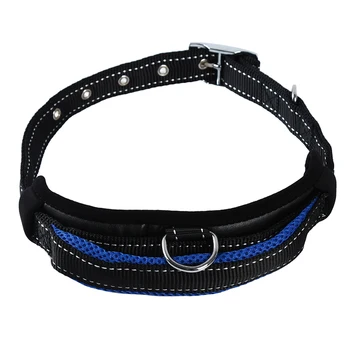 Pet Dogs Collars Personalized Nylon Pet Dog Collar Integrated Short Elastic Dog Leash Reflective Training Collar + Traction Rope
Pet Dogs Collars Personalized Nylon Pet Dog Collar Integrated Short Elastic Dog Leash Reflective Training Collar + Traction Rope