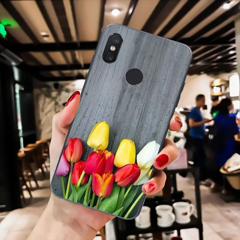 Tulip flower