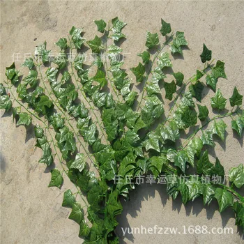 Artificial Begonia Leaf Rattan Color Printing Encryption round Leaf Rattan Fake Plastic Rattan Artificial Leaf Rattan
Artificial Begonia Leaf Rattan Color Printing Encryption round Leaf Rattan Fake Plastic Rattan Artificial Leaf Rattan