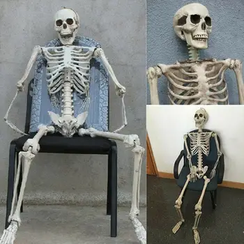 40cm White Jointed Skeleton Halloween Scary Skull Props Movable Body Human Plastic Model Accessories Figure Toy Full Decora W6K8 
40cm White Jointed Skeleton Halloween Scary Skull Props Movable Body Human Plastic Model Accessories Figure Toy Full Decora W6K8