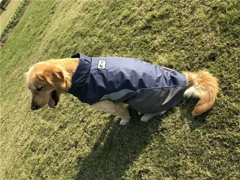 Dog Pet Outdoor Winter Waterproof Rain Warm Padded Coat Jacket Fleece Reflective Safe
Dog Pet Outdoor Winter Waterproof Rain Warm Padded Coat Jacket Fleece Reflective Safe