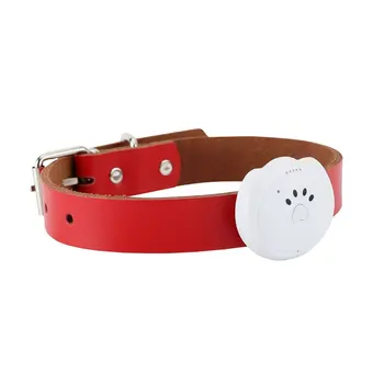 Pet Positioning Collar Mini Cat Dog Positioning Collar Gps Pet Locator Intelligent Waterproof Pet Tracker
Pet Positioning Collar Mini Cat Dog Positioning Collar Gps Pet Locator Intelligent Waterproof Pet Tracker
