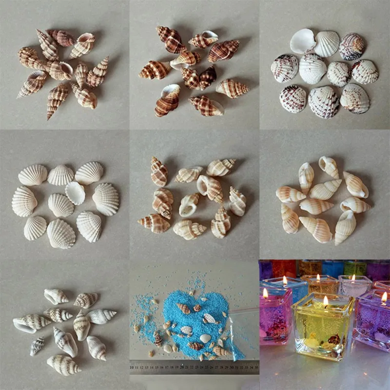 PB1220 (6)