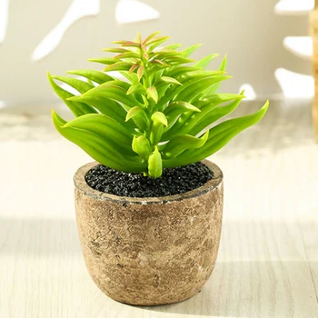 4PCS Artificial Fake Succulent Plant In Pot Mini Potted Plants Home Garden Decor PVC Coffee Table Windowsill Balcony
4PCS Artificial Fake Succulent Plant In Pot Mini Potted Plants Home Garden Decor PVC Coffee Table Windowsill Balcony
