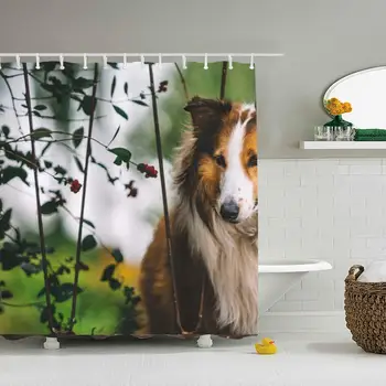 Rough Collie Dogs Polyester Fabric Shower Curtain Sets with Hooks Waterproof Mildew Bathroom Decor Holiday Great Gift
Rough Collie Dogs Polyester Fabric Shower Curtain Sets with Hooks Waterproof Mildew Bathroom Decor Holiday Great Gift