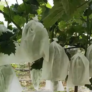 100Pcs Grape Protection Bags Garden Fruit Flower Protection Bag Agricultural Pest Control Anti-Bird Mesh Bags
100Pcs Grape Protection Bags Garden Fruit Flower Protection Bag Agricultural Pest Control Anti-Bird Mesh Bags