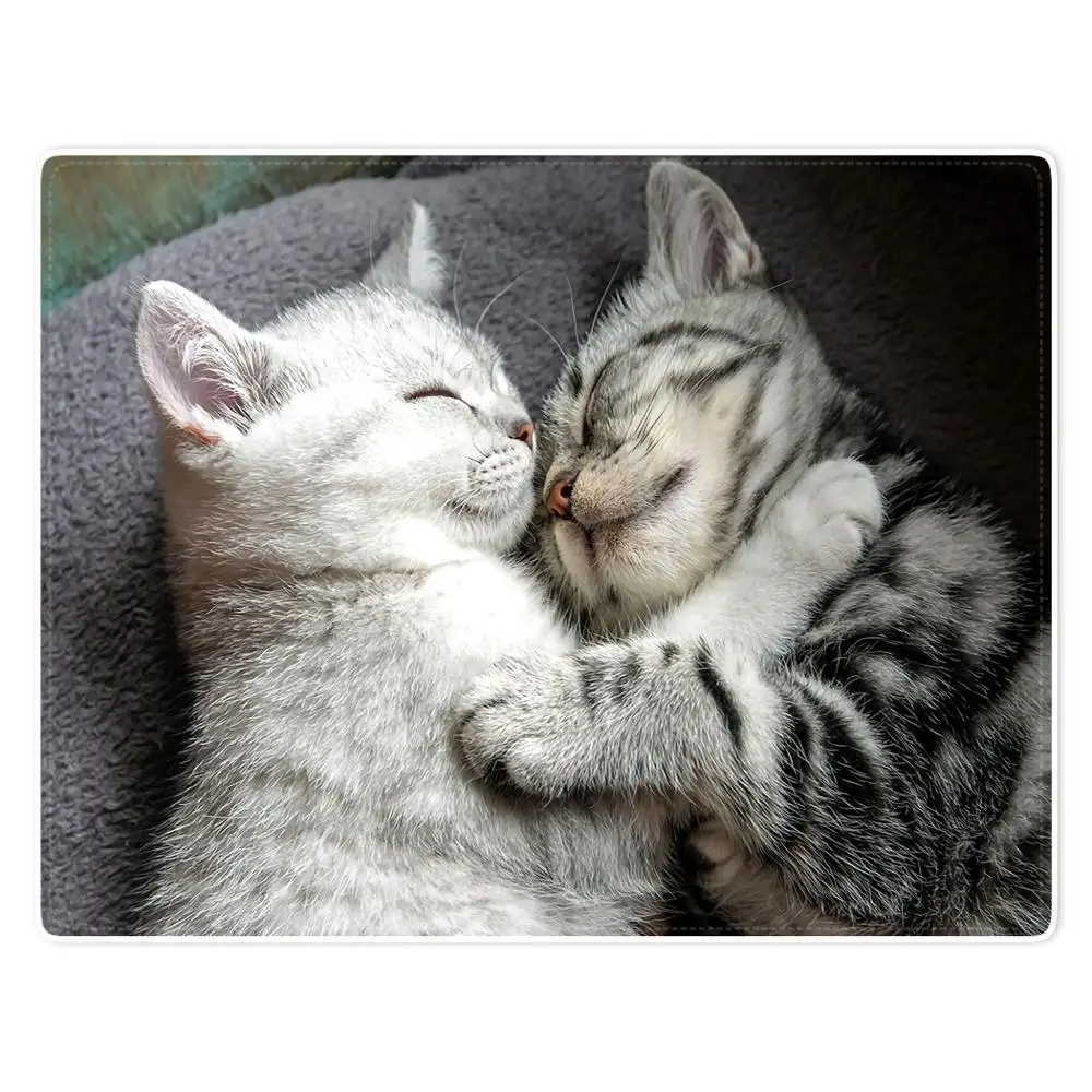 HommomH Blanket Comfort Warmth Soft Plush Throw 2 Lovely Cats Snuggle Together Gray
HommomH Blanket Comfort Warmth Soft Plush Throw 2 Lovely Cats Snuggle Together Gray
