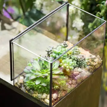 New Black Glass Geometric Terrarium Box Rectangle Flower Pots Succulent Container Decorative Jewelry Necklace Storage Box
New Black Glass Geometric Terrarium Box Rectangle Flower Pots Succulent Container Decorative Jewelry Necklace Storage Box