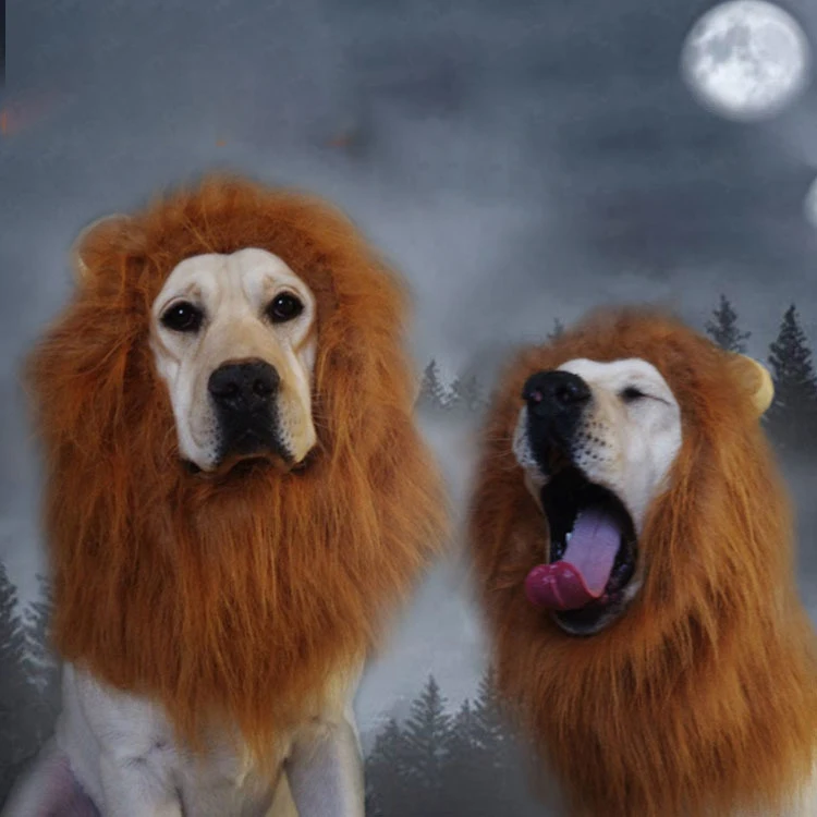 Dog Wigs Bizarre Headgear Funny Cat Dog Makeover Lion Wig Hat Pet Photography Decoration Props Creative Pet Accessories Supplies
Dog Wigs Bizarre Headgear Funny Cat Dog Makeover Lion Wig Hat Pet Photography Decoration Props Creative Pet Accessories Supplies