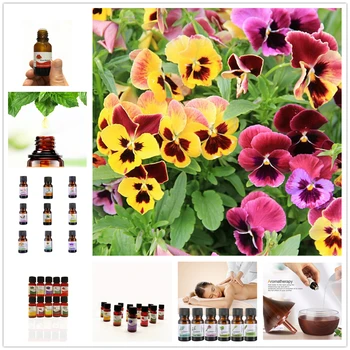 10ml Flower Essential Oils for Humidifier for Aromatherapy Pour Diffusers Skin Care Chinese Wistaria Oil Relieve Stress TSLM1
10ml Flower Essential Oils for Humidifier for Aromatherapy Pour Diffusers Skin Care Chinese Wistaria Oil Relieve Stress TSLM1