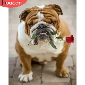 HUACAN Paint By Numbers Dog Animal HandPainted Painting Art Gift DIY Picture By Number Rose Kits Home Decors
HUACAN Paint By Numbers Dog Animal HandPainted Painting Art Gift DIY Picture By Number Rose Kits Home Decors