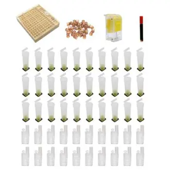 Beekeeper Tool Set Cell Cups Queen Rearing System Queen Bee Marker Beekeeping Equipment Bee Keeping
Beekeeper Tool Set Cell Cups Queen Rearing System Queen Bee Marker Beekeeping Equipment Bee Keeping