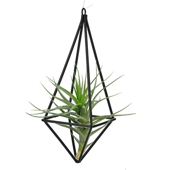 Hanging Planters Geometric Swing Wrought Iron Tillandsia Air Plants Holder Triangular Shaped Metal Rack for Room Decor
Hanging Planters Geometric Swing Wrought Iron Tillandsia Air Plants Holder Triangular Shaped Metal Rack for Room Decor