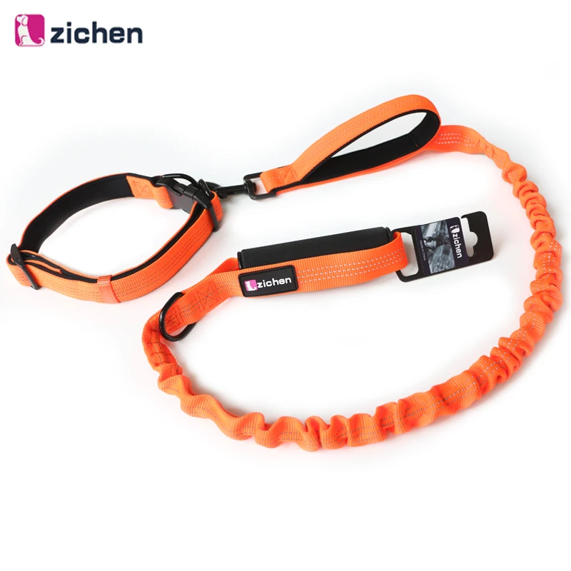 Dog Leash Collar Set Reflective Buffer Elasticity Traction Rope Adjustable Foam Handle Dog Leash For Medium Large Dogs
Dog Leash Collar Set Reflective Buffer Elasticity Traction Rope Adjustable Foam Handle Dog Leash For Medium Large Dogs